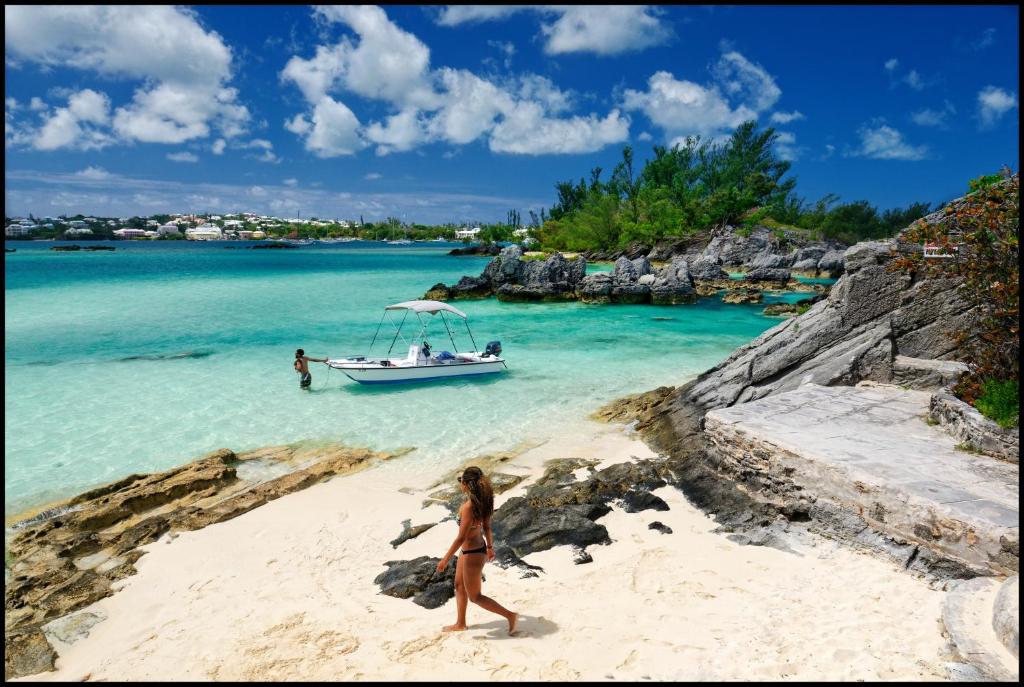 アクティビティ