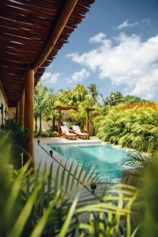 Shankara Holbox - 1