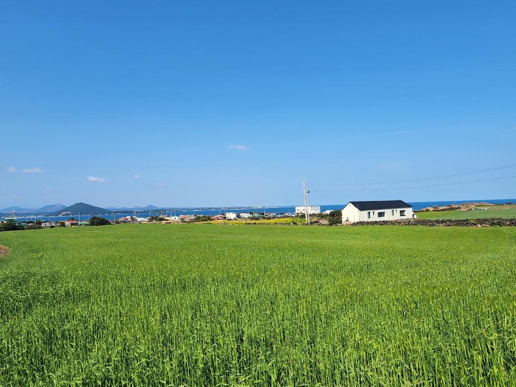 Ảnh 5
