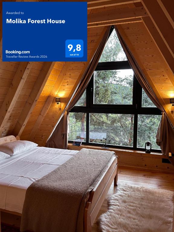 Molika Forest House - 1