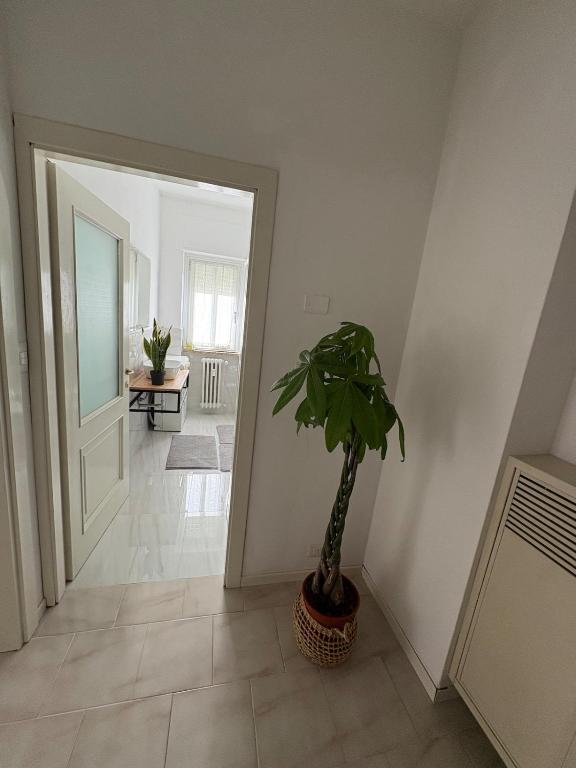 Lungolago Centro Apartment - 2