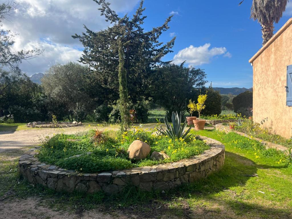 Maison de vacances avec grand jardin et 3 chambres - 2