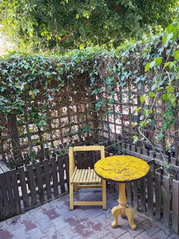 Ảnh 5