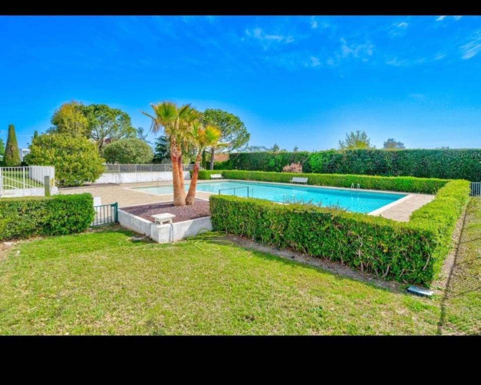 Lovely 48 m2 appt with sea view and swimming pool - 1