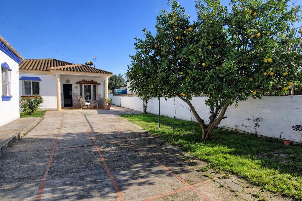Winahost Casita Chiclana - 3