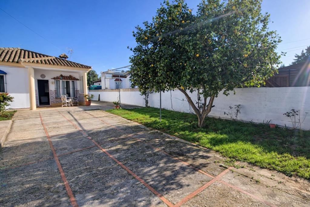 Winahost Casita Chiclana - 5