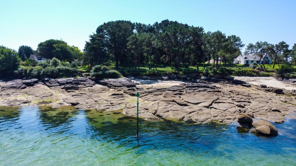 -GARDEN - Une Oasis au coeur de Concarneau - 5