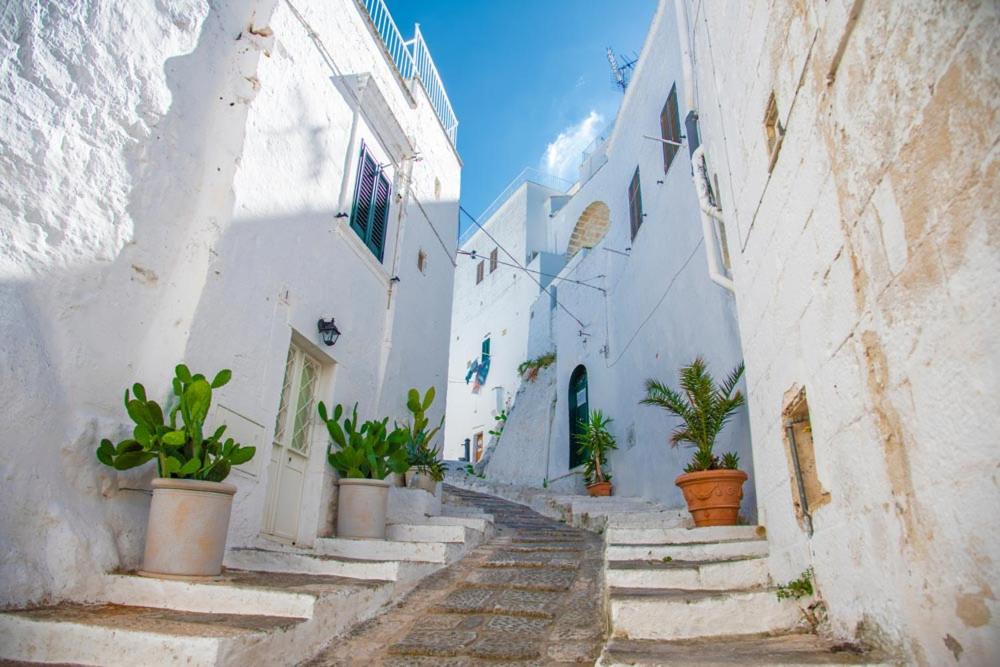 Casa Ficus Ostuni con terrazza vista mare - 4