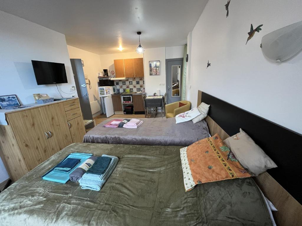 Le Petit Roitelet - Studio Calme et lumineux à 50 m des Thermes - Classé 2 étoiles - 5