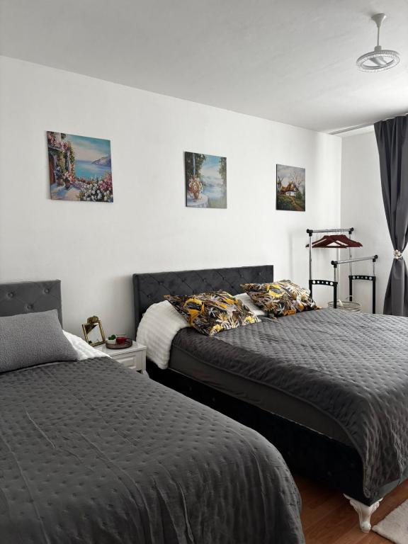 Molinelli apartment - 2