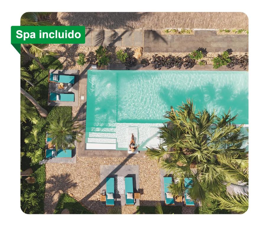 Bidmont Villa & Spa - Luxury Wellness Retreat - 2