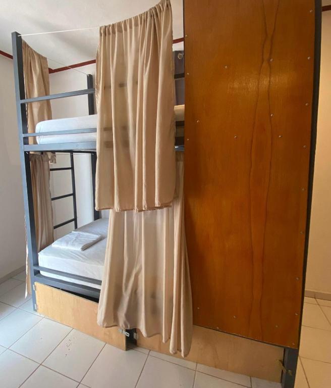 Hostel Treebu - 3