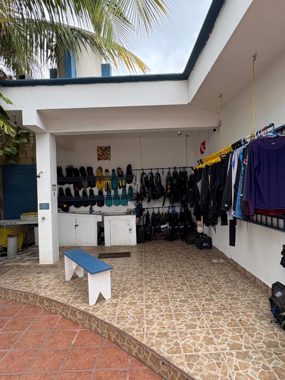Casamaya Hostel & Diving - 4