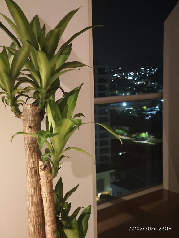 Comfortable Apartment in Santa Marta Rooftop Pool - 1