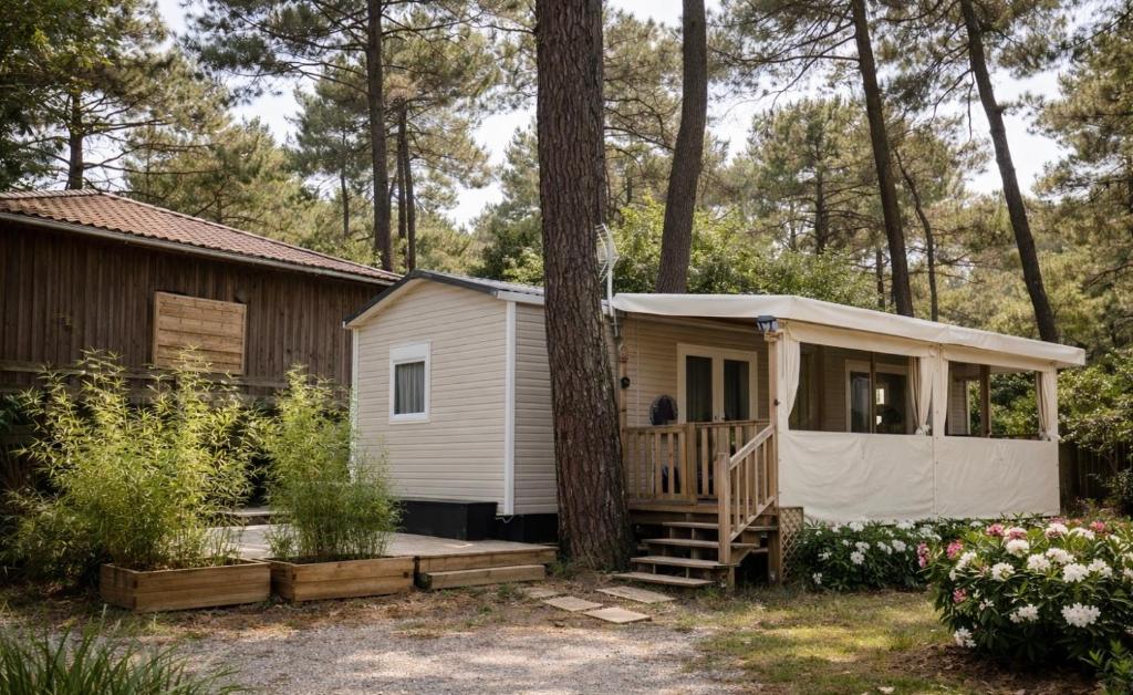 La cabane des pins - 3