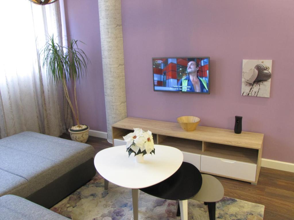 Apartments Tom&amp;Jerry — Hotel in Belgrade