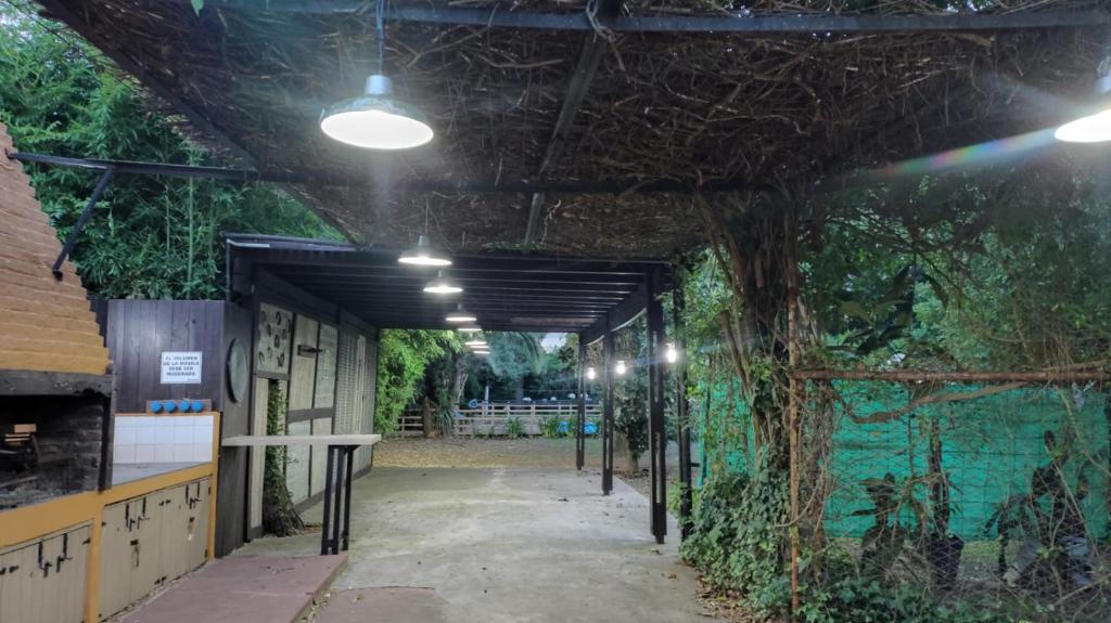 Quinta Inesita - 2