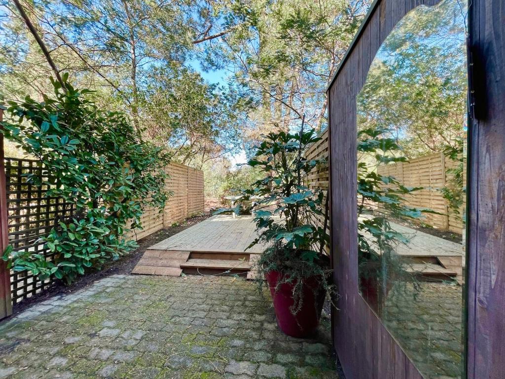 Duplex dans les pins - 1