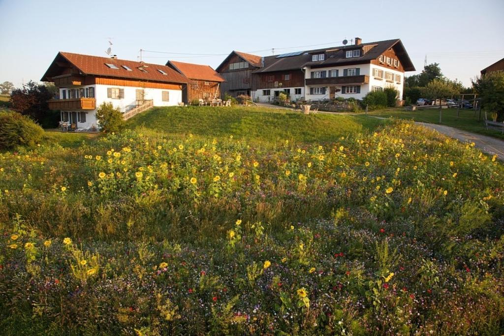 Ferienwohnung Bergblick , Hof Alpenseeblick, NesselwangAttleseeAllgäu - 5
