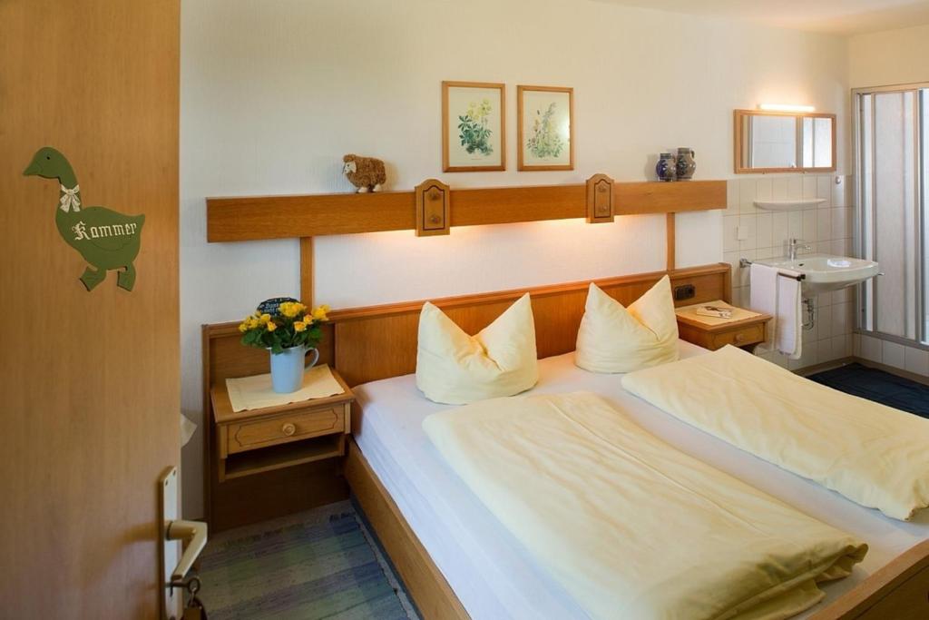 Ferienwohnung Bergblick m zusätzl Doppelzimmer, Hof Alpenseeblick, NesselwangAttleseeAllgäu - 5