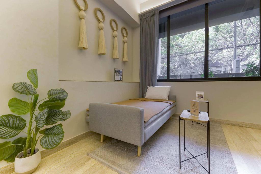 TOP Homero - Modern 1BR apartment - 5