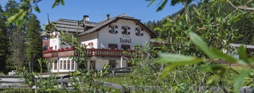 Alpin Natur Hotel Brückele - 2