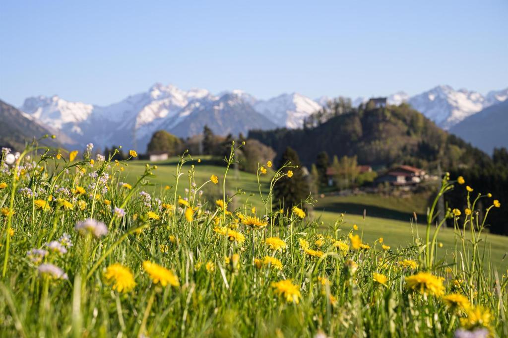 Ferienwohnung Socher "Am Wold" - 5