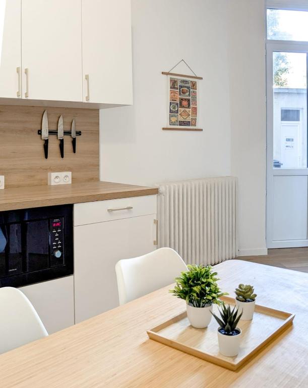 Magnifique Chambre privée proche du CHU Grenoble Ile Verte - 4