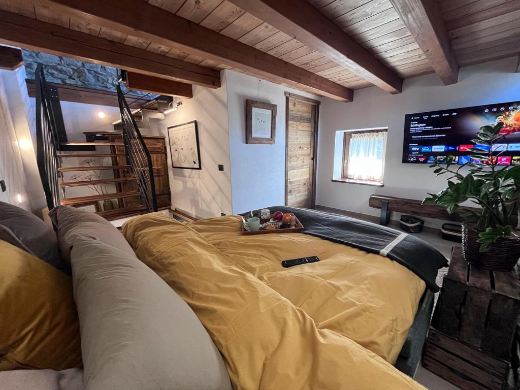 Little Wild House - 4