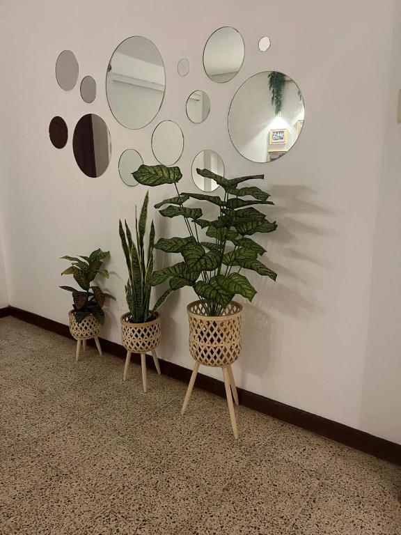 Dulce Hogar - 2