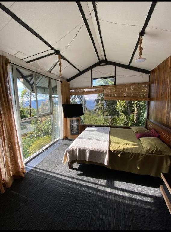 Ảnh 2