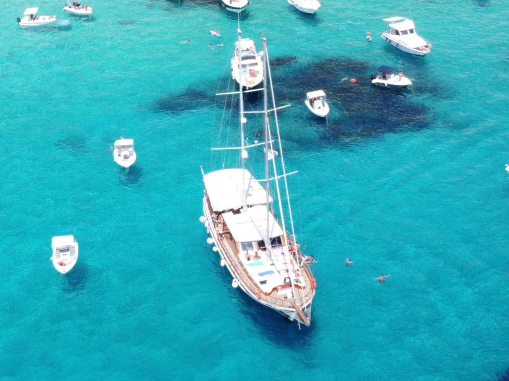 Caicco Silver Star 2 by Blue Marine - 3