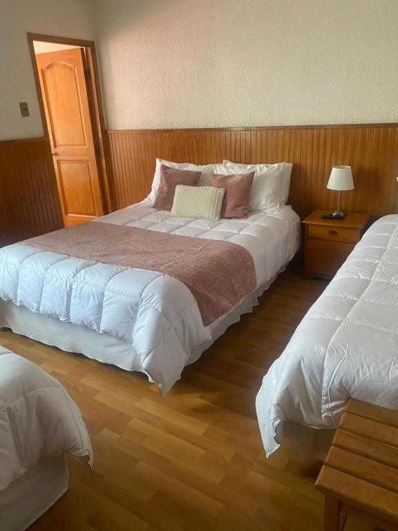 CHALET CHAPITAL Punta Arenas - 5