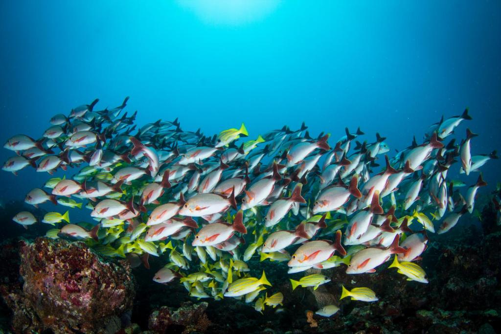 スポーツ/アクティビティ