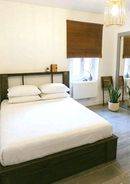 Nice studio 2 people - Near TerreauxSathonay - 1