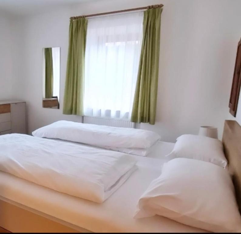 Wohnung in Olang - 2