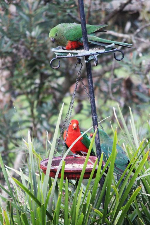 Copeland Cabins, Copeland