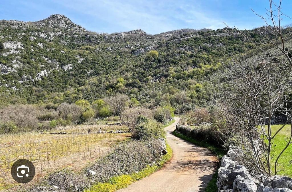 Minja Stone House by the Lake - 5