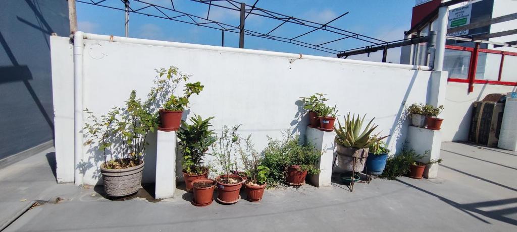 Homestaying Estela - 2