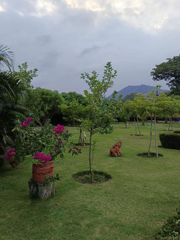 Casa Campo Villa Monica Psicina, Naturaleza y Descanso - 5