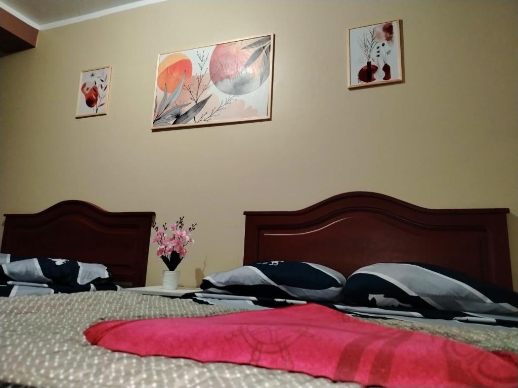 Hostal Anita - 3