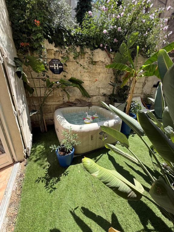 Avignon intra muros spa jardin wifi calme - 1