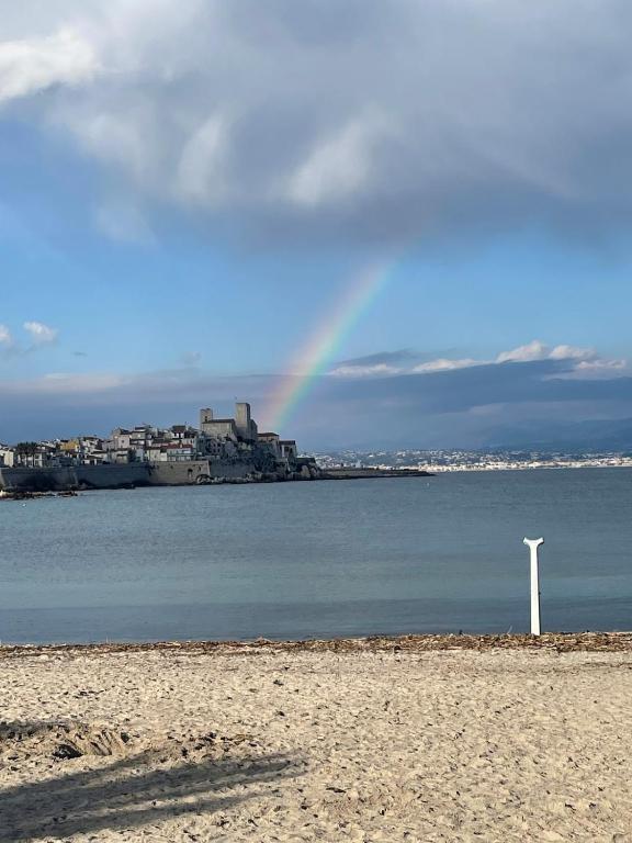 Antibes centre Dernier Etage 2 pièces - 3