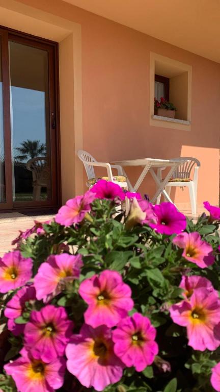 Stella Marina - 1