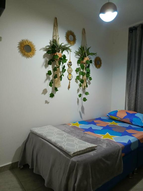 Habitacion Sencilla con baño compartido en Apartamento ambiente NO FAMILIAR - 3