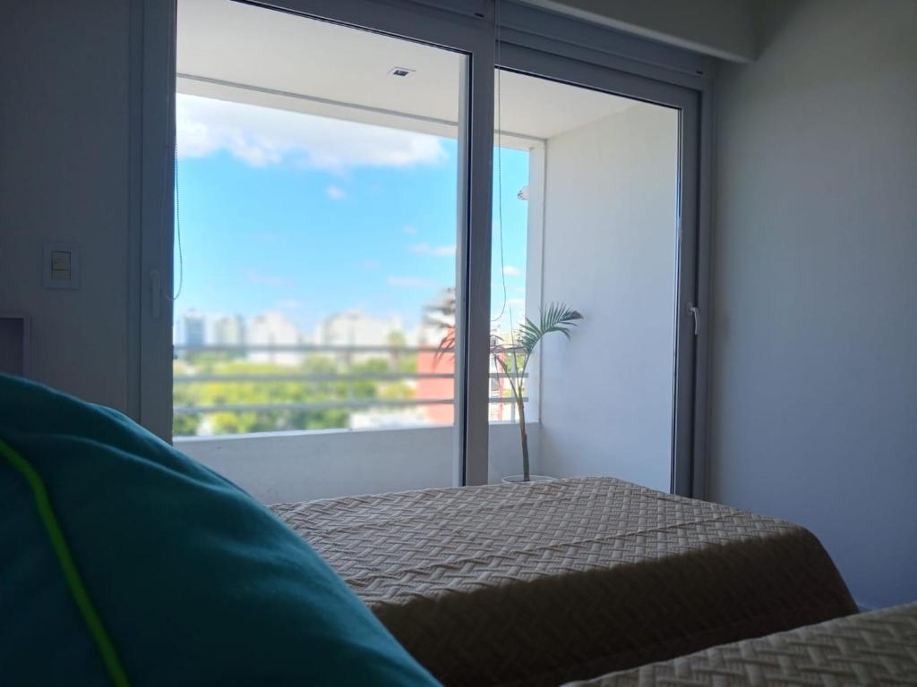 Departamento 38 y 15 La Plata - 5
