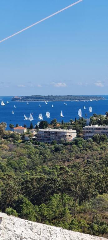 Vue imprenable sur baie de Cannes et Estérel - 1