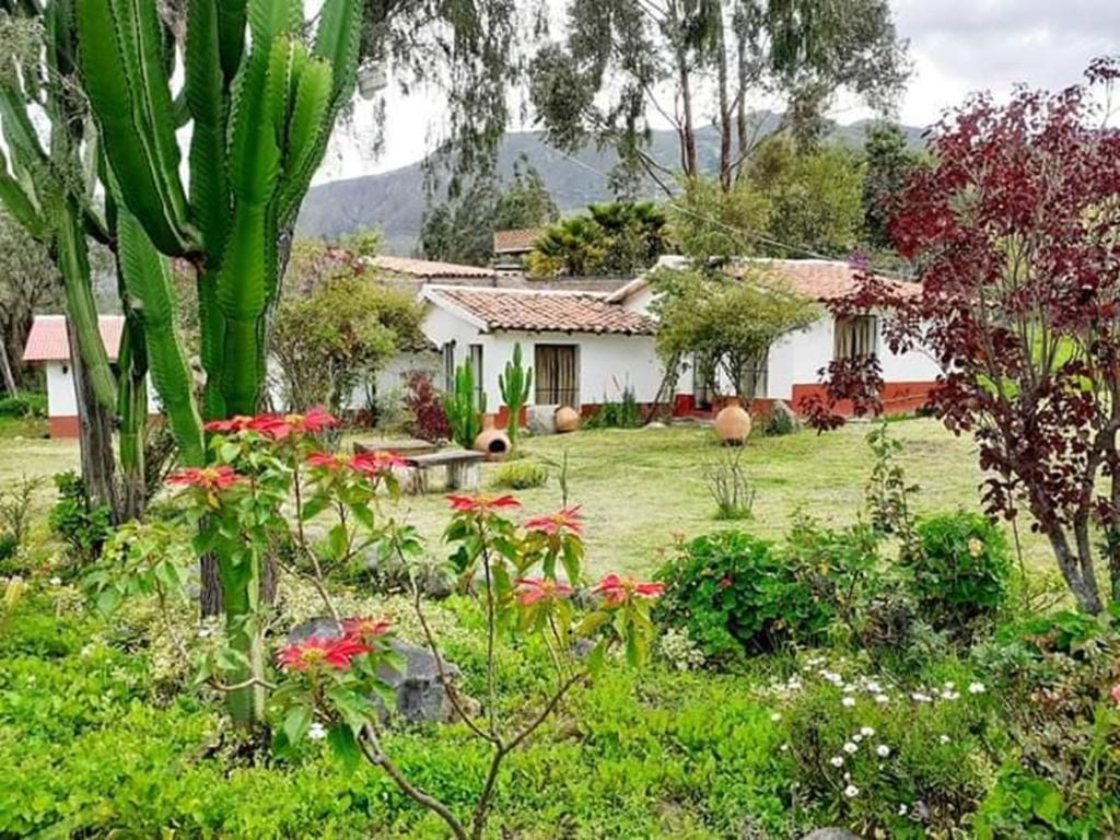 La Posada Del Turista - 5