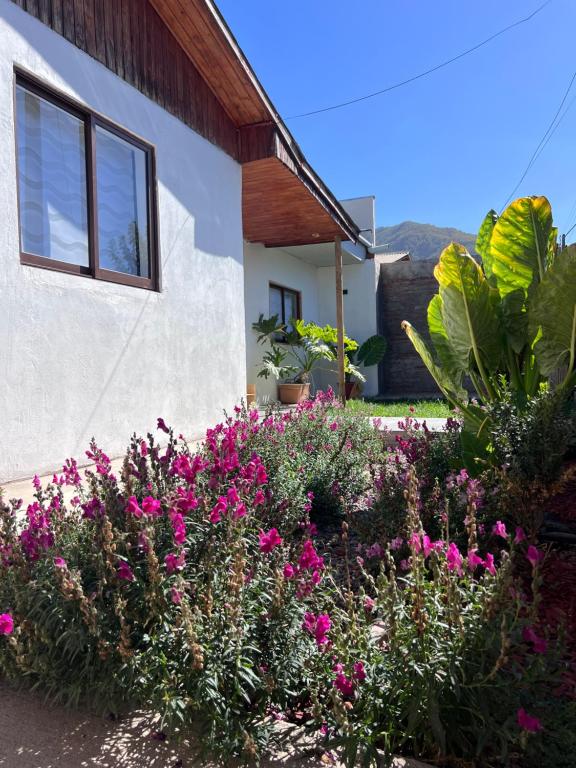 Casa Maly, valle de apalta, Santa Cruz - 5