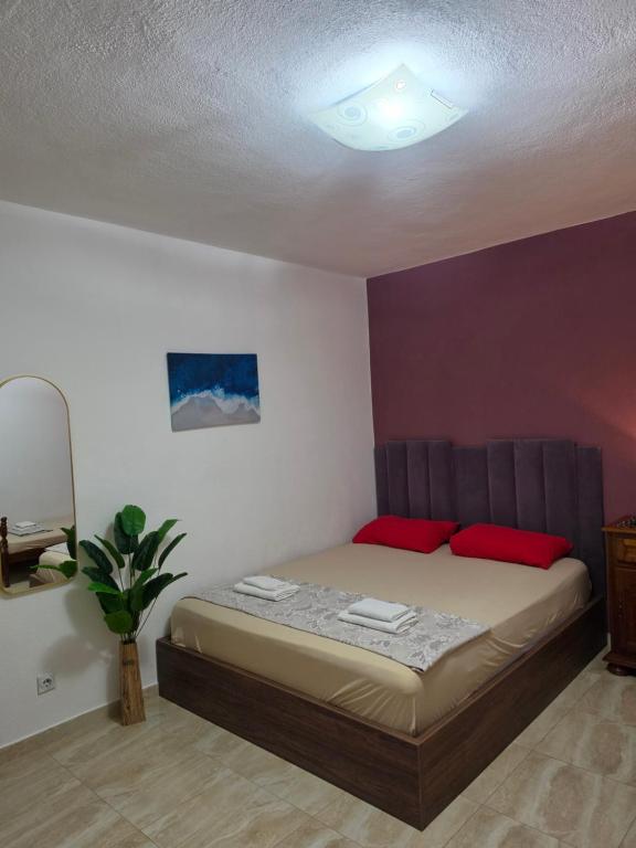 Viki Apartmani - 5